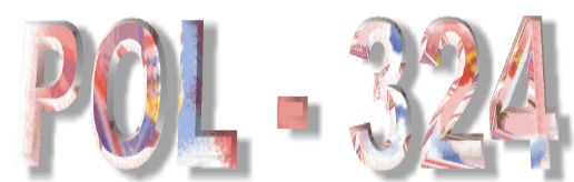 Click here to return to the
                    POL - 324 Home Page