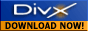 Download DivX Now!