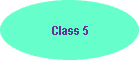 Class 5