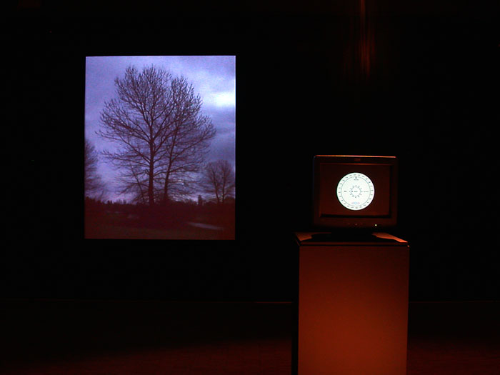 Trees in Winter Gallery Still