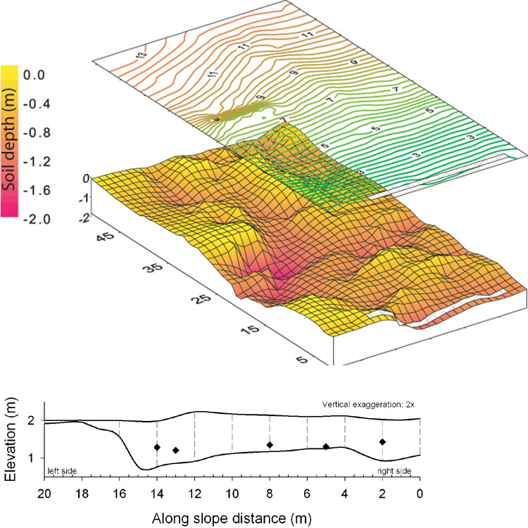 Hillslope surface and subsurface topography