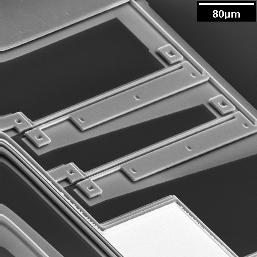 SEM of coupled electro-thermal actuator.