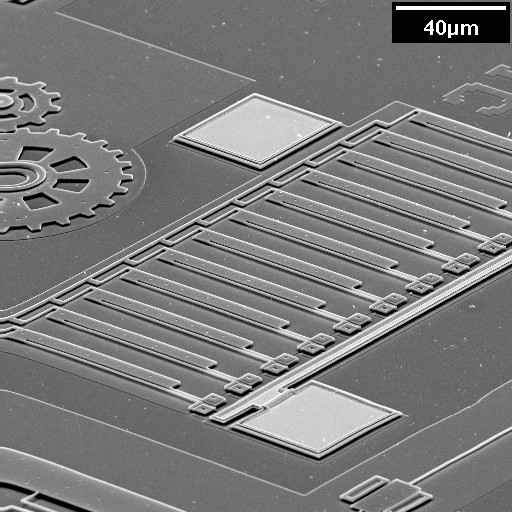 SEM of an array of electro-thermal actuator.