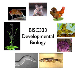 BISC333 picture