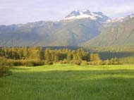 photo of field site with meadow and mountain