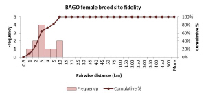Female_breeding