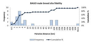 Male_breeding