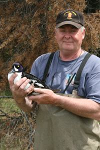 Garry Grigg and BAGO