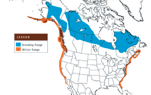 range map of SUSC in N. America