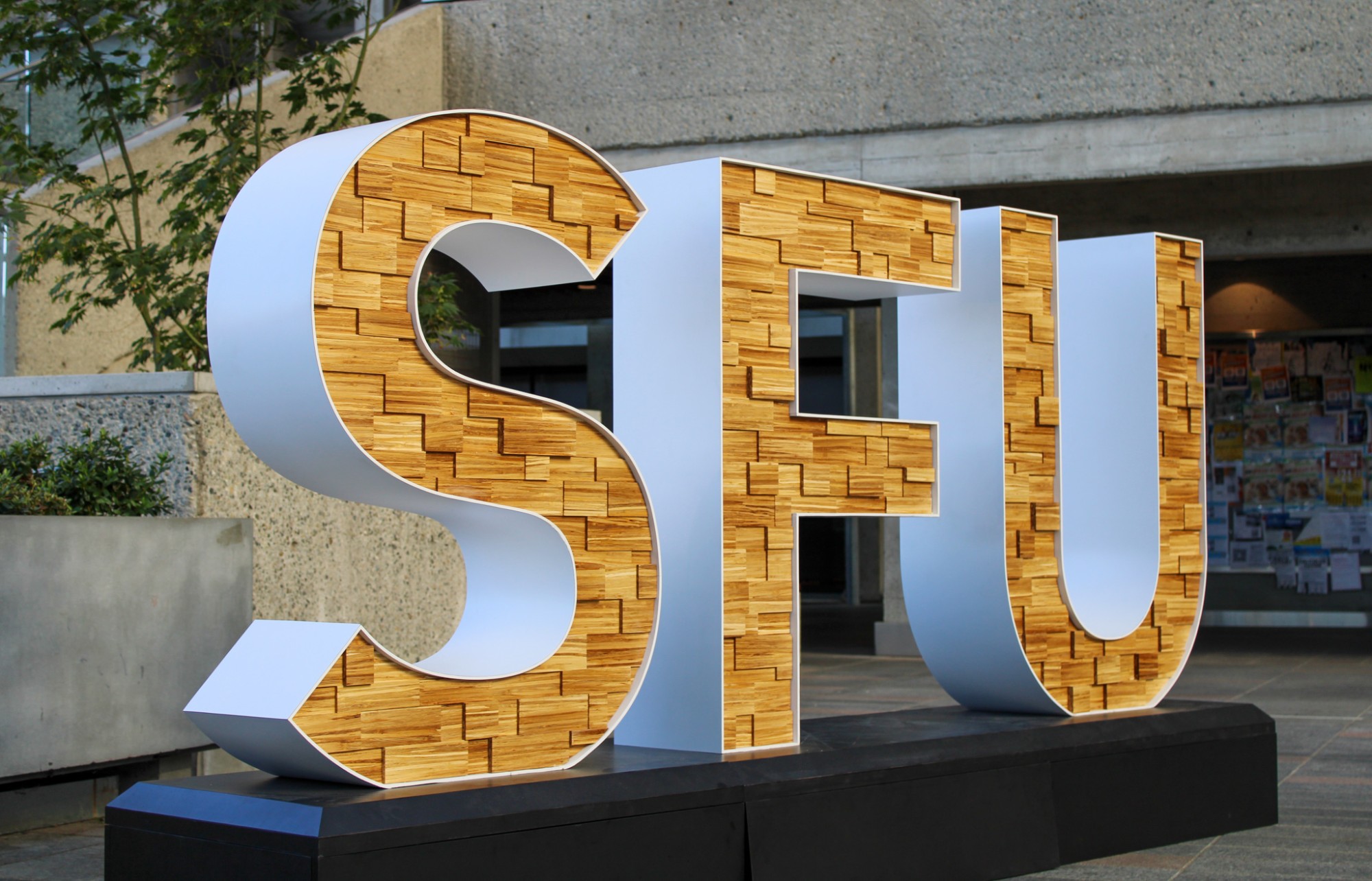 A photograph of four foot tall letters that spell SFU outlined in white with layers of chopsticks in the middle.