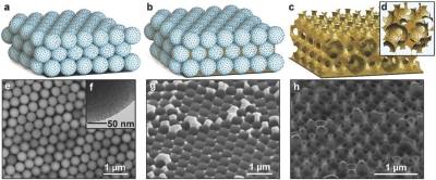 Ordered Porous Electrodes by Design
