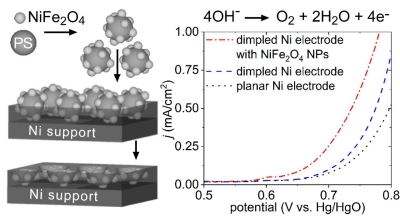 Electrochemically Aged Ni Electrodes Supporting NiFe2O4 Nanoparticles 