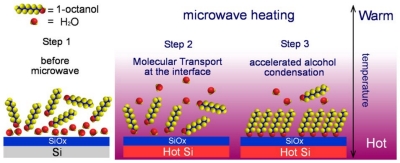 Microwave Assisted Reaction of Alcohols with Silicon Oxides
