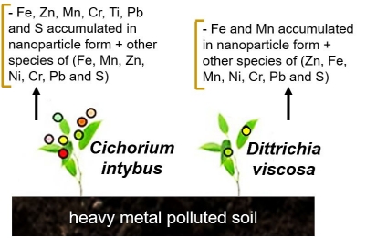 Differentiation of Nanoparticles Isolated from Distinct Plant Species