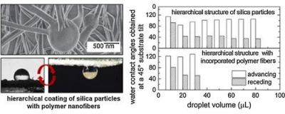 Hierarchical Coatings with Rose Petal Wetting Properties 