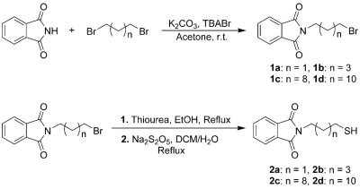Synthesis of n-Phthalimidoalkylthiols
