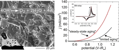 Electrochemical Aging of Bead-Blasted Nickel Electrodes for the Oxygen Evolution Reaction