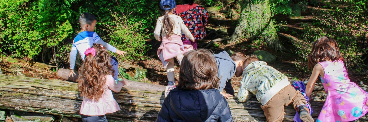 Image is of kids running in the forest around Childcare, climbing over a log on a sunny summer day enjoying themselves