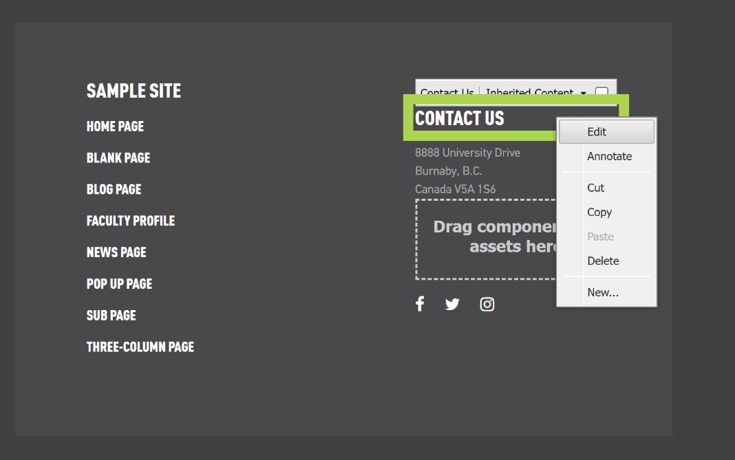This is an image of the contact us section in the footer being edited