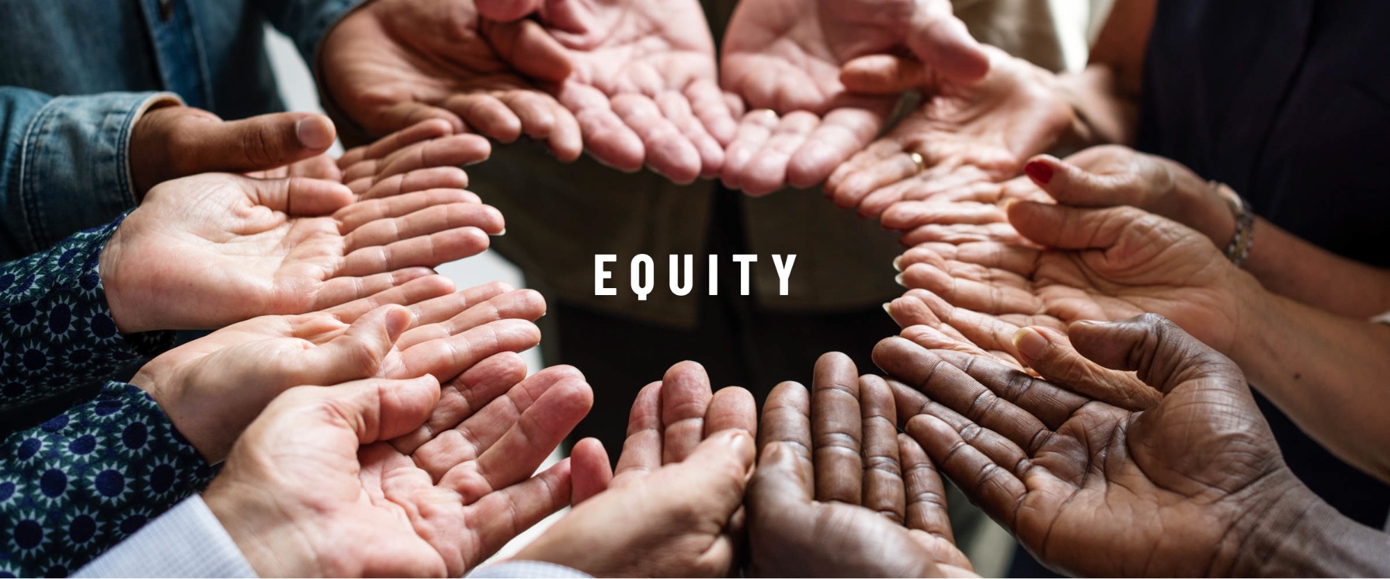 Text: Equity