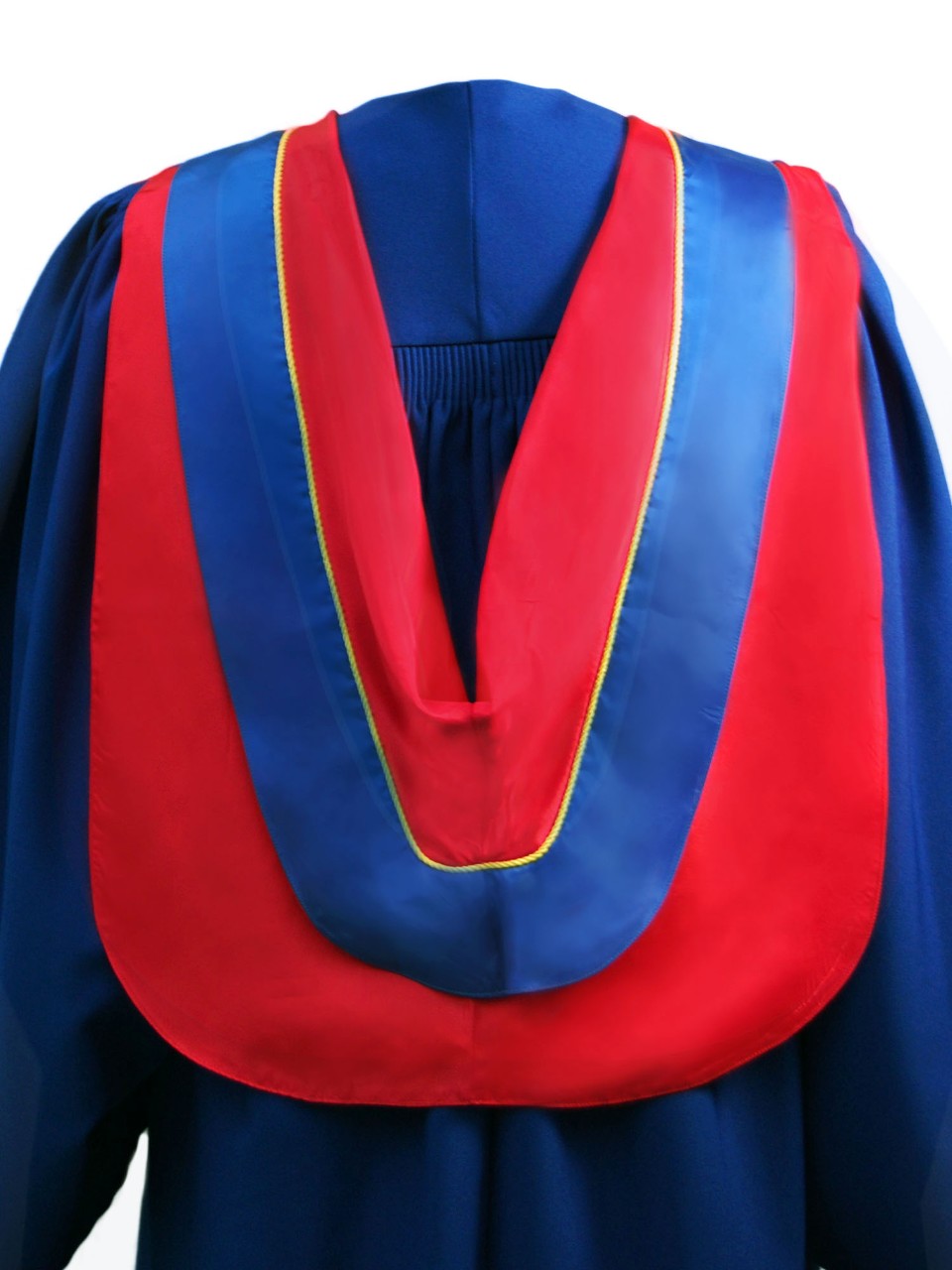 The Master of Publishing hood is red with wide blue border and yellow cording