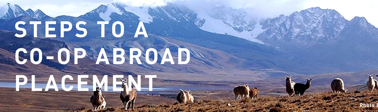 Steps to an International Co-op Placement