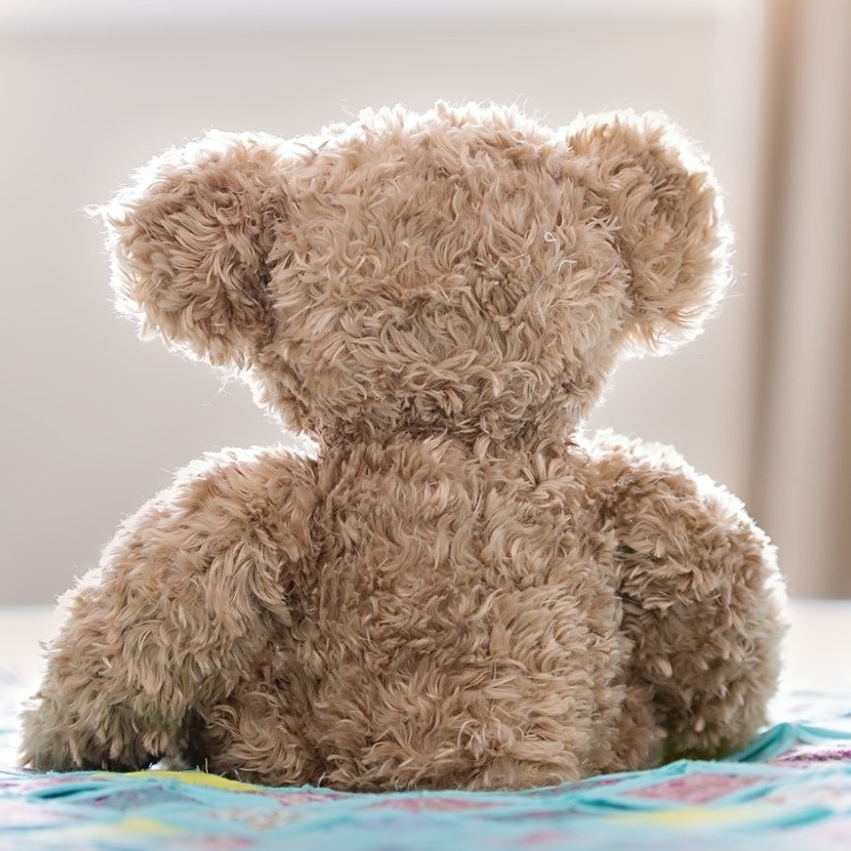 An image of a teddy bear with its back towards the camera sitting on a blue blanket.