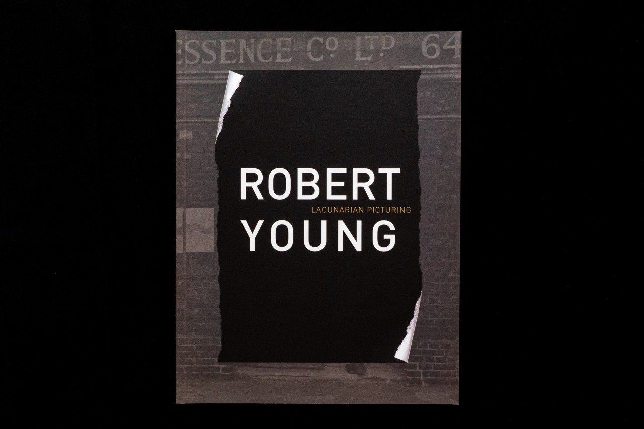 Robert Young: Lacunarian Picturing