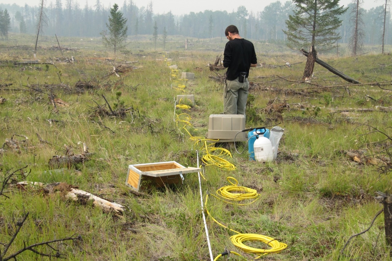 grad student in field with equipment