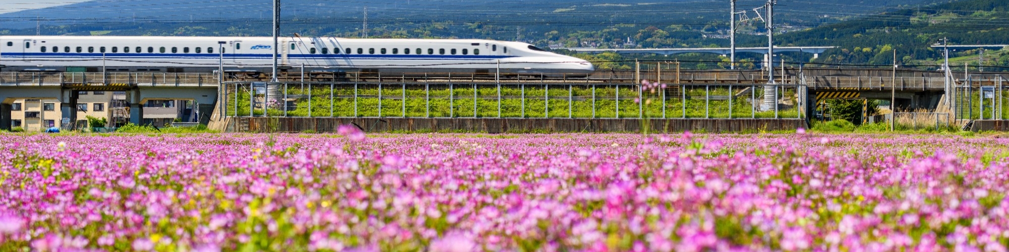 Shinkansen bullet train pass Mountain fuji