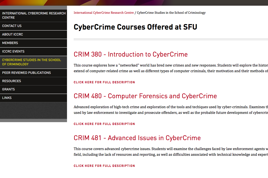 CyberCrime Studies in the School of Criminology
