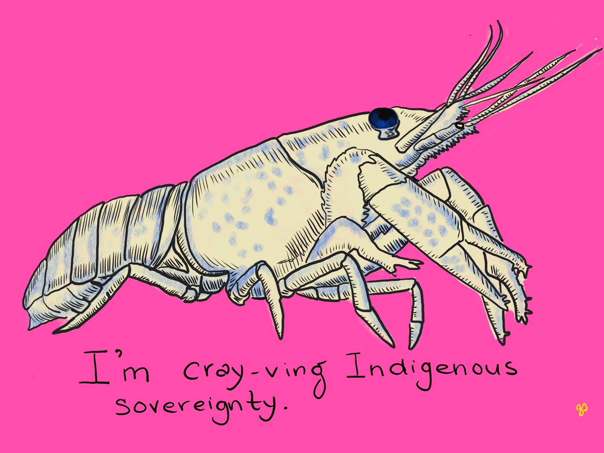 A drawing of a crayfish on a pink background, with the text "I'm cray-ving Indigenous sovereignty"
