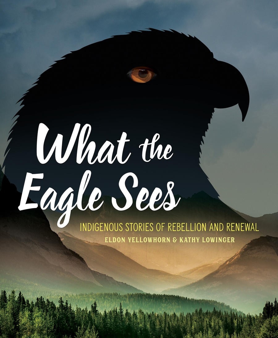 What the Eagle Sees Indigenous Stories of Rebellion and Renewal By Eldon Yellowhorn & Kathy Lowinger