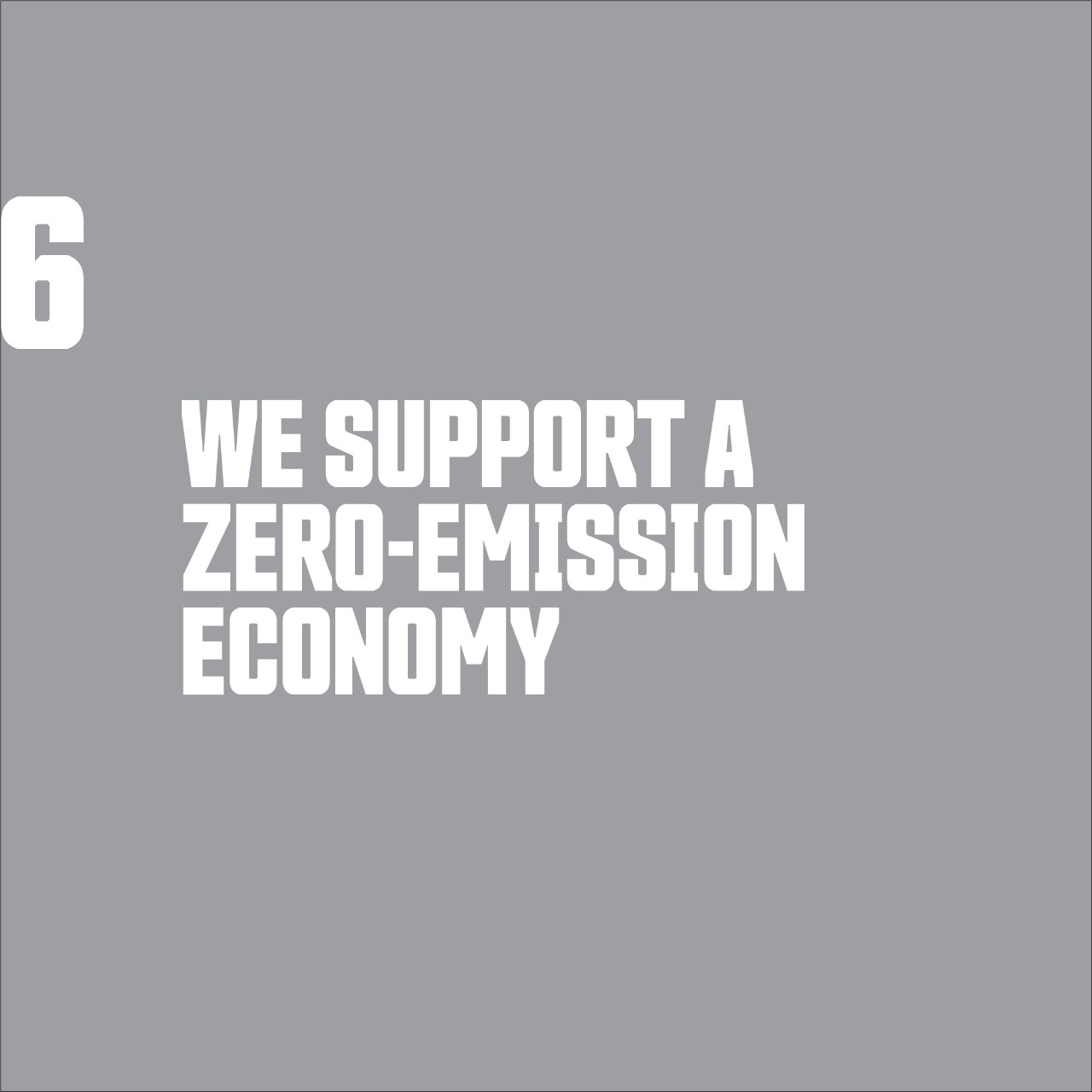 We Support a Zero-Emission Economy