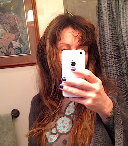 1 autobio  ross, annie 2015 self portrait with canada's fav painter.png