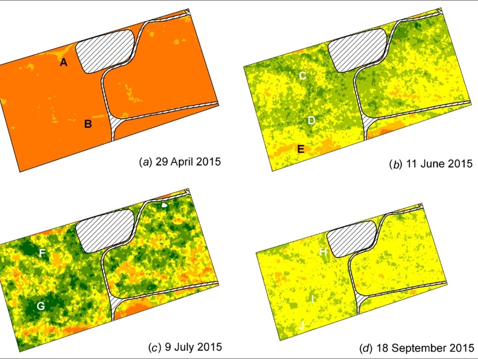 Mapping Vegetation Chlorophyll Content