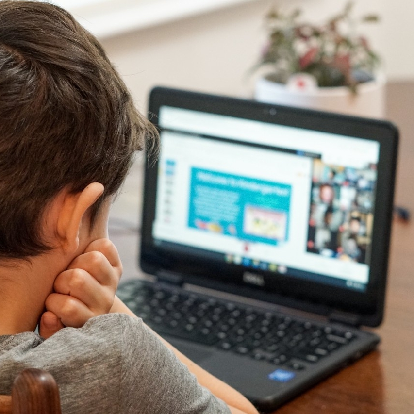A photo taken from behind a child, who is looking into his laptop while resting his chin on his hands. 