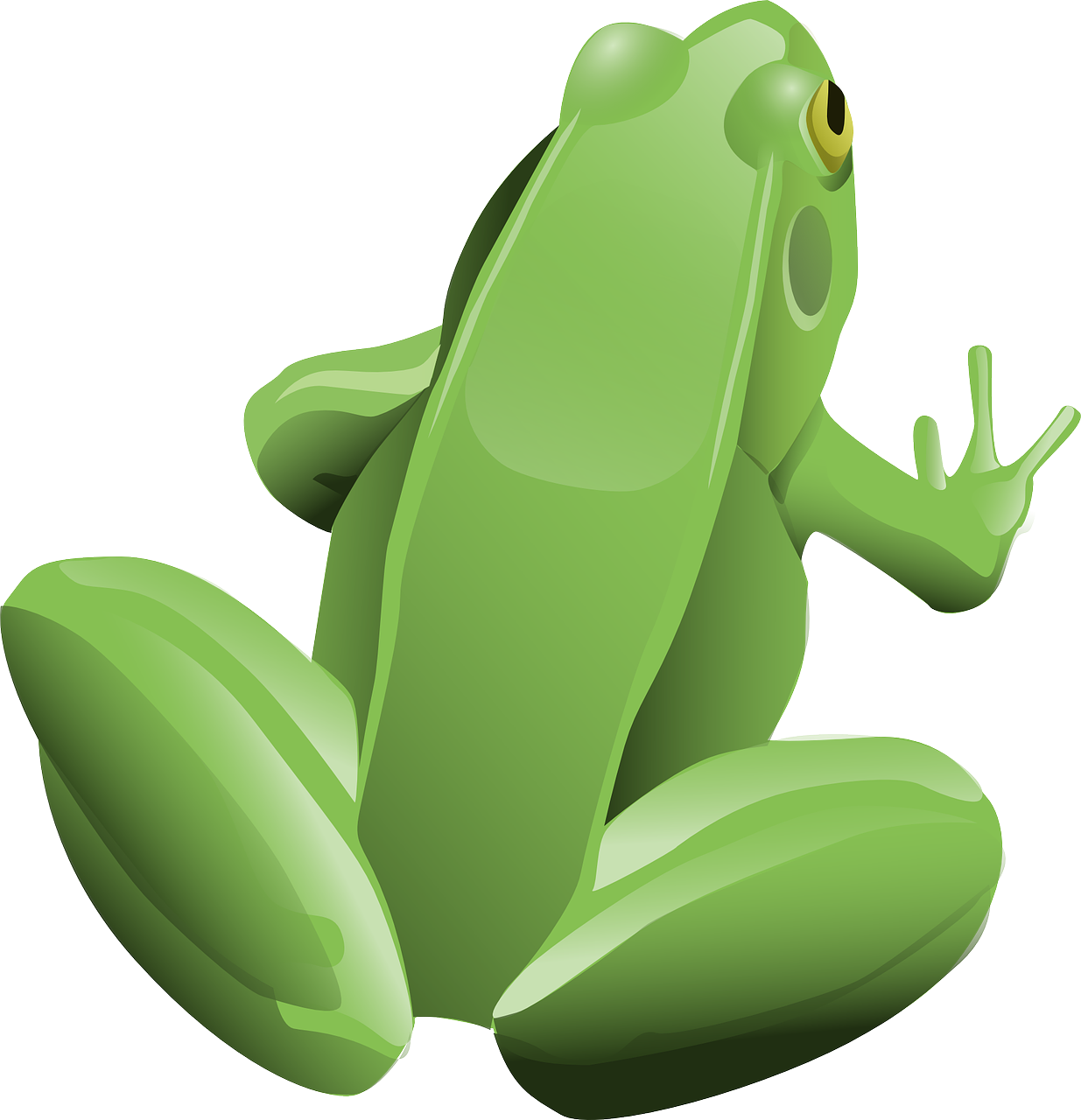 frog digital art
