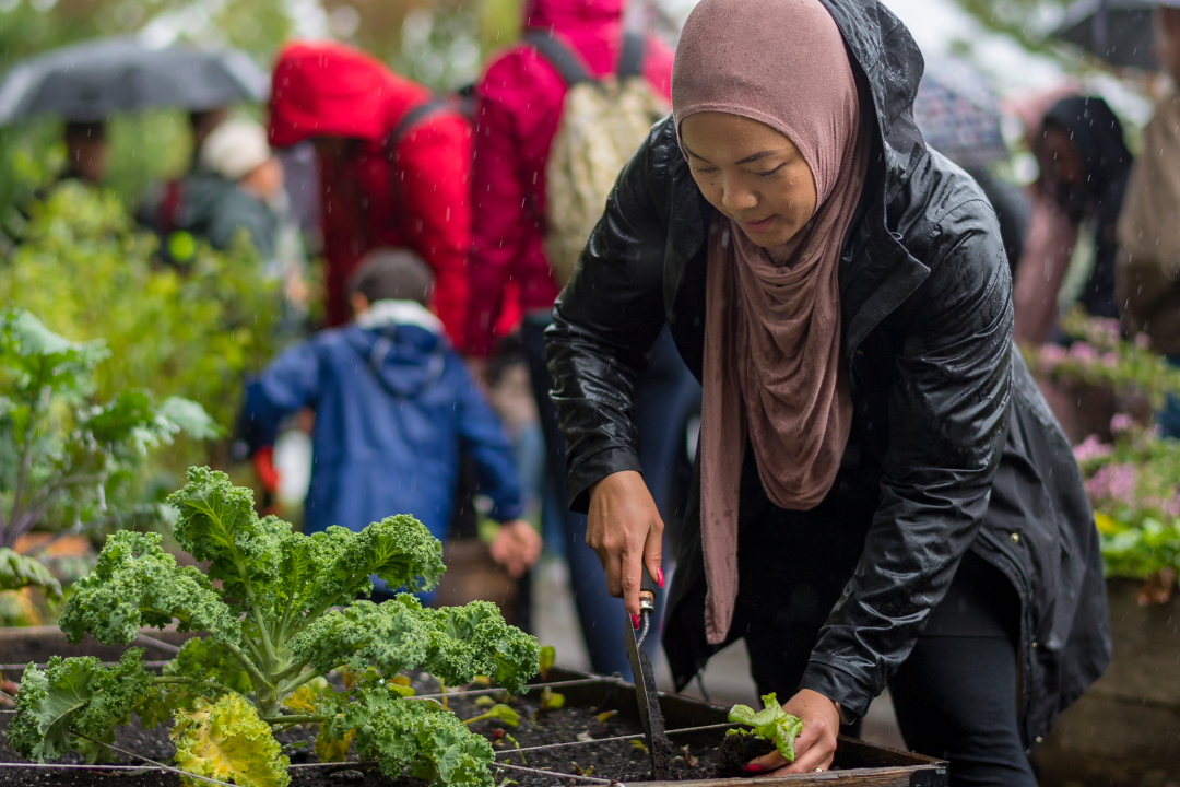 SFU urban planning researcher tackles food security