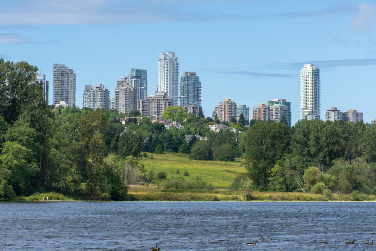Panoramic photo of the Burnaby skyline from Deer Lake park on a sunny day. Ducks can be seen on the lake while the tops of Burnaby skyscrapers peek out of the treeline. 
