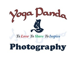 Yoga Panda Photography