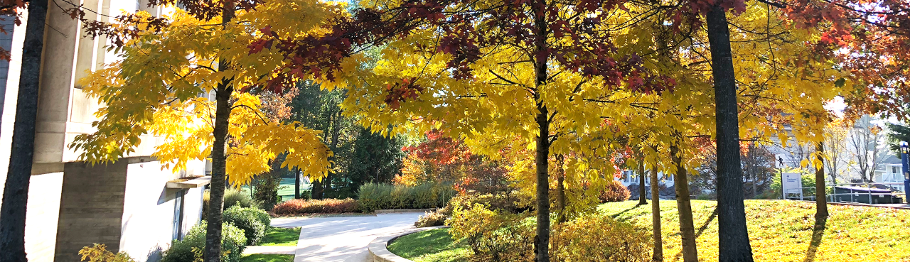 Trees with red and yello leaves around the Residence and Housing Tower breezeway entrance 