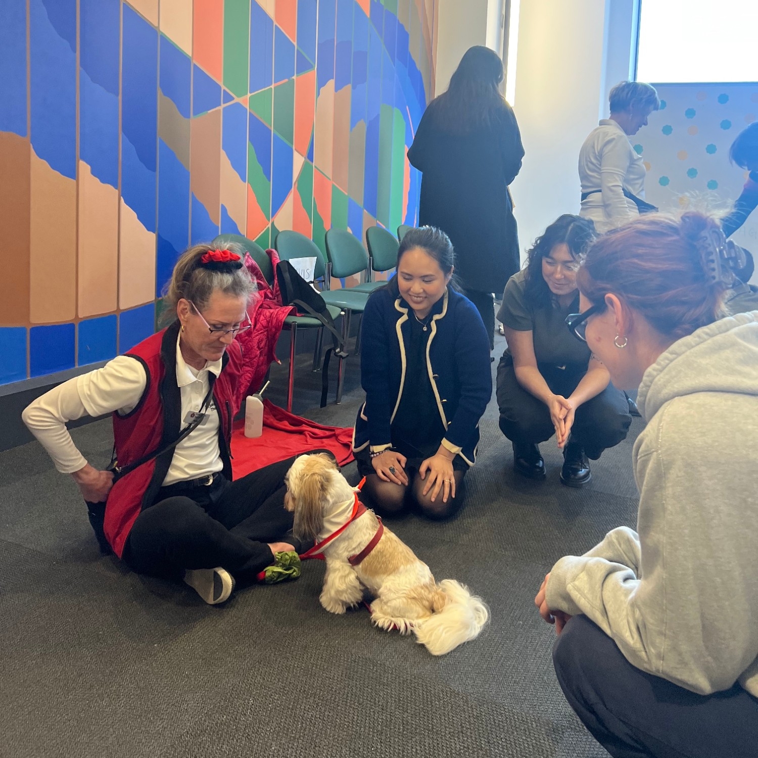 A small group of people enjoying visiting with a small white and tan dog at a Dog Therapy event 