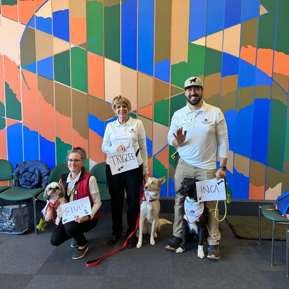 Three therapy dogs and their owners standing against a wall with a mural at Dog Therapy, as part of 2023 Wellness Days event