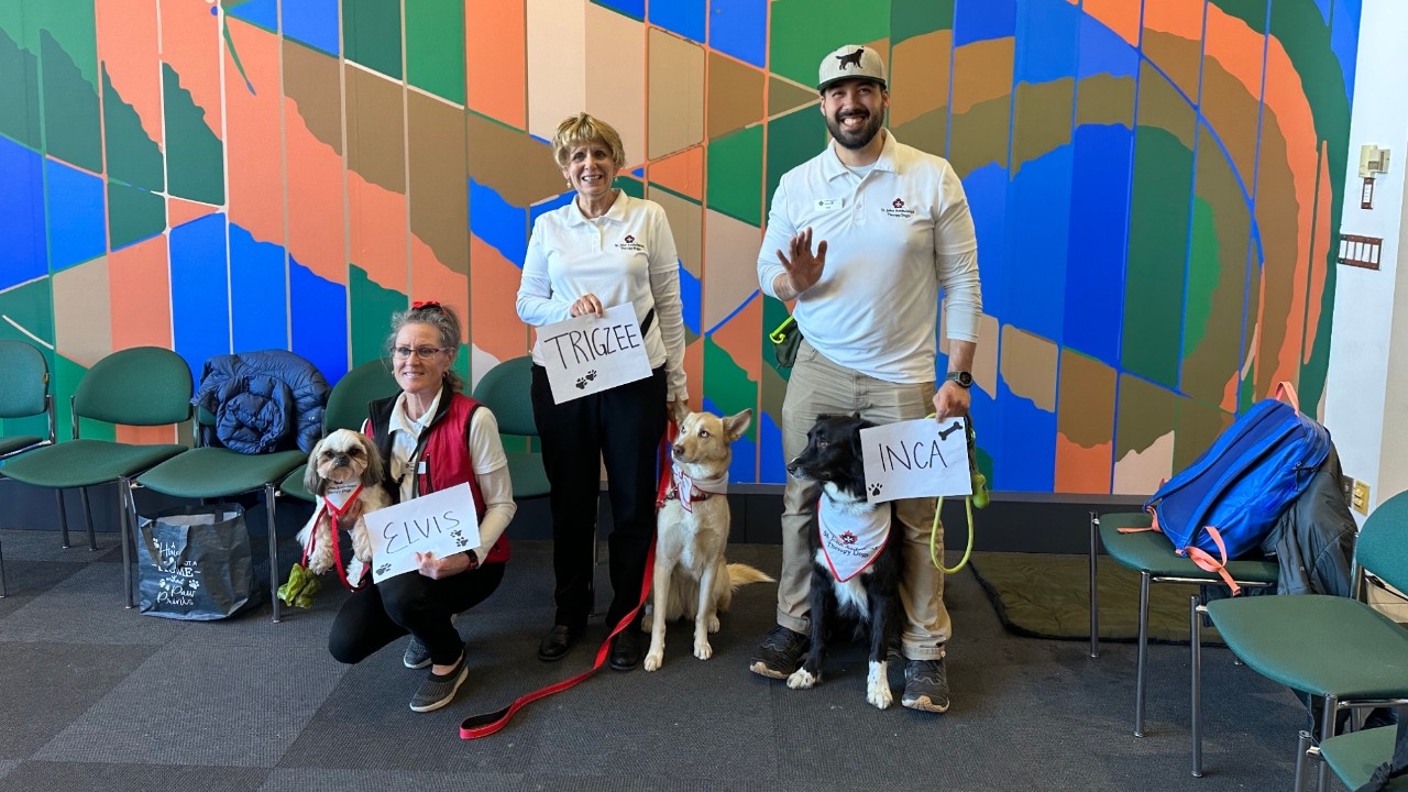 Three therapy dogs and their owners standing against a wall with a mural at Dog Therapy, as part of 2023 Wellness Days event