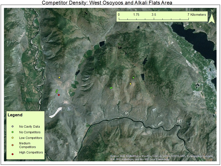 Map that shows the density of competitors for each nesting site.