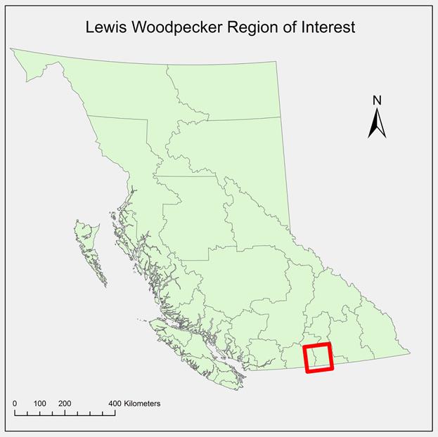 Map of British Columbia. There is a square in the Southern Interior that shows where the study area is placed.