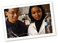 Photo of undergraduate students