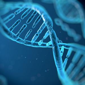 Bioarchaeology, DNA, and Indigeneity