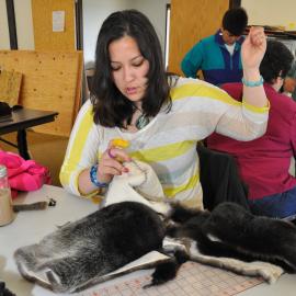 Sealaska Heritage Institute's Sustainable Arts Program provides training to Sout